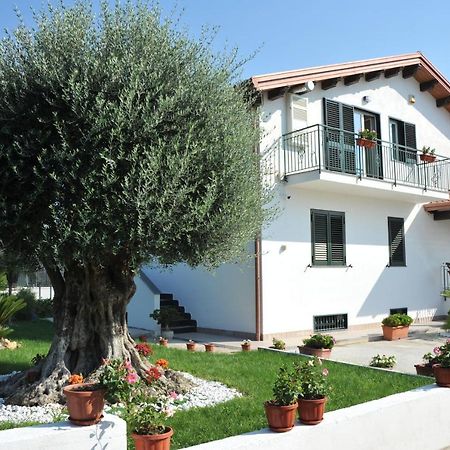 B&B Cascina Fiorita Santa Maria La Carità Eksteriør billede